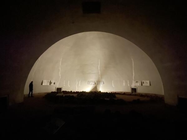IMG 5646