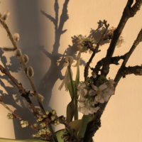 Newsletter Februar 2026