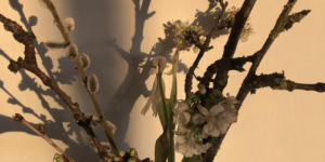 Newsletter Februar 2026