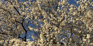 Newsletter April 2026