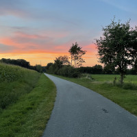 Newsletter Kulturelle Bildung - Kreis Rendsburg-Eckernförde - Sommer 2025