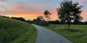 Newsletter Kulturelle Bildung - Kreis Rendsburg-Eckernförde - Sommer 2025