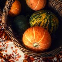 Newsletter Kulturelle Bildung Oktober 2026