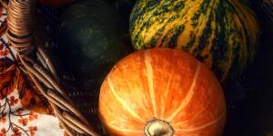Newsletter Kulturelle Bildung Oktober 2026