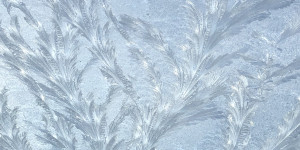 Newsletter Kulturelle Bildung Januar 2026