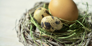 Newsletter Kulturelle Bildung - März 2026 - Kreis Segeberg und Hansestadt Lübeck