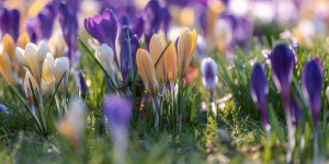 Newsletter Kulturelle Bildung - Februar 2026 - Hansestadt Lübeck und Kreis Segeberg