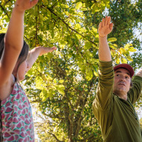 LandverWALDung II: Stark wie ein Baum - Kinder partizipieren