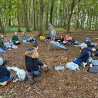 Mitweltgeschichten im Schulwald (er)finden