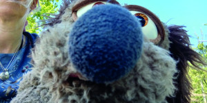 Sehenswert in Lütjenburg